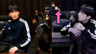 Download lagu  Suddenly BAM 🐕🐕 comes and interrupts Jungkook's live broadcast.#live mp3