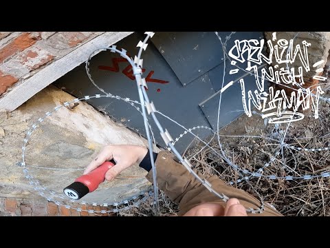 Graffiti review with Wekman // Ukrainian ink Red Beard