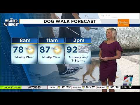 Hourly Forecast Jacksonville Fl