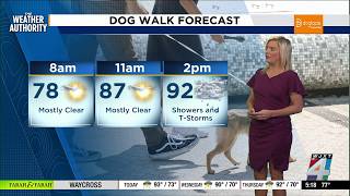 Meteorologist Katie Garner has your Forecast