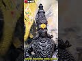 Kartiki Ekadashi Status कार्तिकी एकादशीस्टेटस Fullscreen Eka