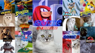 【Top7 anime】Cute cat videos COMPILATION OF 2022