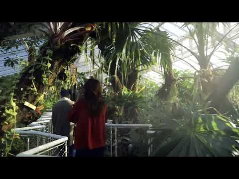 Hortence Dress Sewing Pattern video