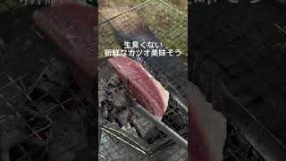 泥棒猫に俺のカツオを奪われた #猫動画 #泥棒猫 #サザエさん