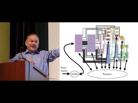 Getting the 'I' into AI: Clues from Biology and Mathematics - Paul Olshausen