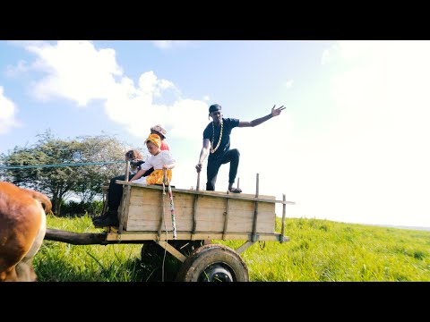 Markens - PSE New Génération