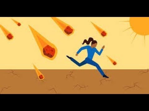 SURVIVLE - DIMOMÔ - 10