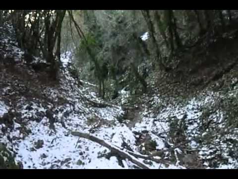 orovnik 2012 ohrid macedonia