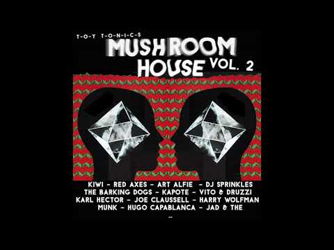 Jad & The - 232 (Raw Tool)