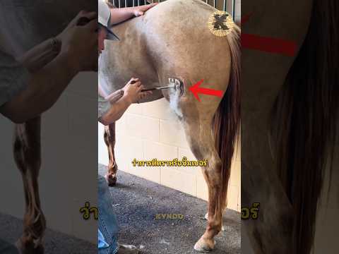 แบบเย็นกับแบบร้อนต่างกันยังไง?￼