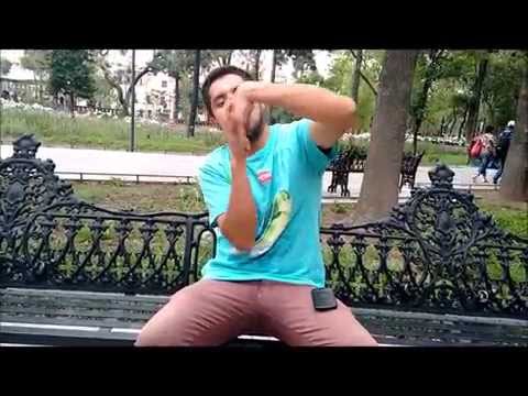 gigio/alameda/center/blue bird