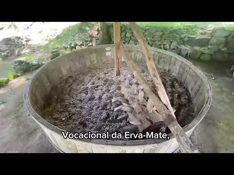 Você acha que conhece o Rio Grande do Sul? Então veja isso sobre Ilópolis 😳