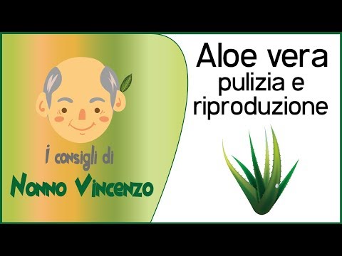 Oli da rughe imitative sulla faccia Maschere da prezzemolo da borse sotto occhi