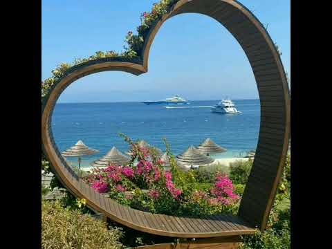 SE AMAR É VIVER VIVO PQ AMO VOCÊ ❤❤❤❤