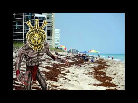 Dagoth Ur Visits Florida