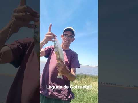 Pejerrey grande! En Tres Arroyos!! la famosa y difícil laguna de Goizueta!!!