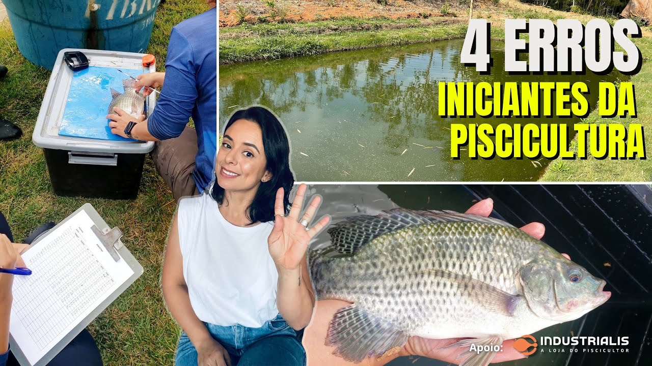 Como evitar os 4 erros de quem está iniciando na piscicultura