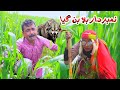 NumberDaar Bala Ban Gya|Funny Video 2024|Dadi420|Helmet|Rockit|Saraiki Comedy Darama|Punjabi