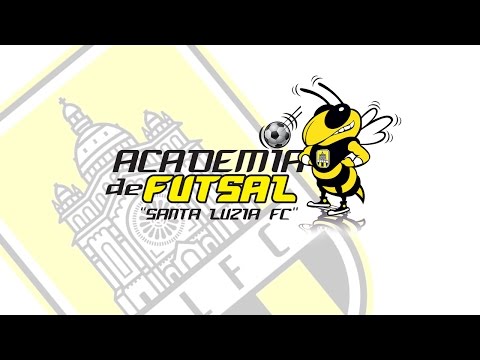 MannequinChallenge - Academia Futsal Santa Luzia FC