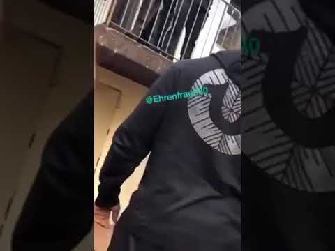 Manuellsen schlägt Animus K.O