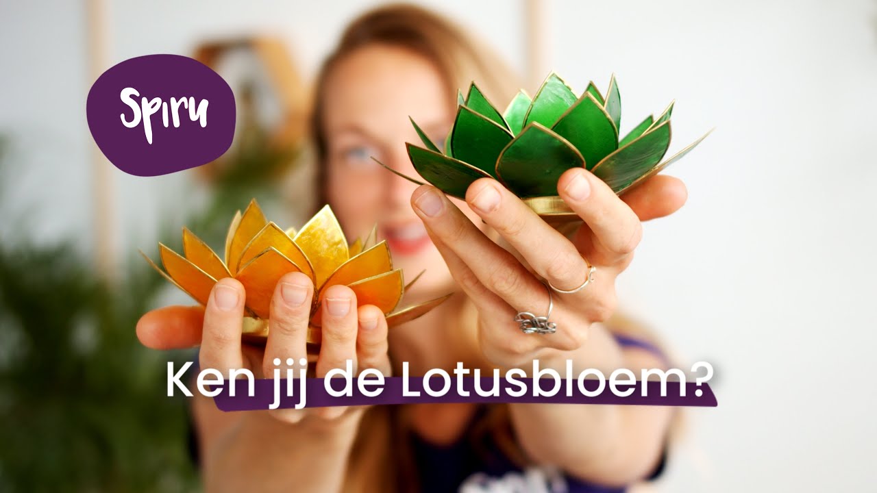 Betekenis Lotusbloem: Ontdek hier wat de lotus voor jou kan betekenen!