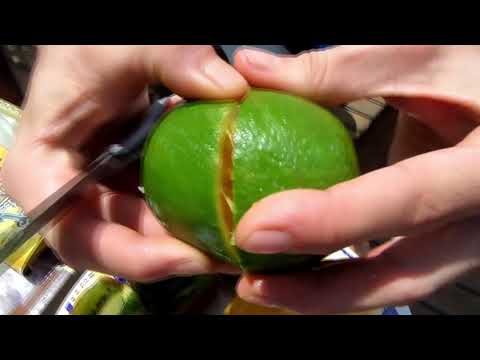 Dirtyirie & Tommy Martini - Palm Tree