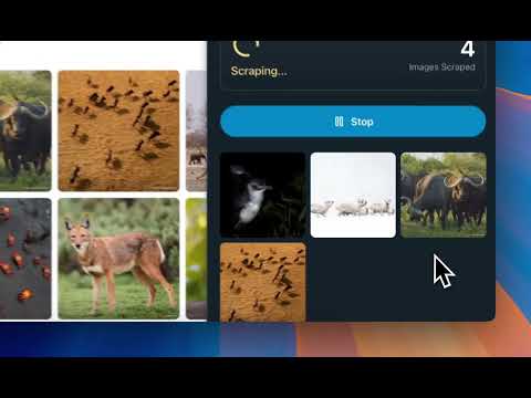 Item video thumbnail