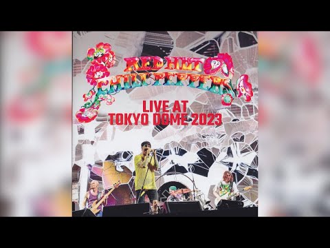 INTRO JAM + CAN'T STOP - Red Hot Chili Peppers | Guitar Backing Track | Tokyo, Japan (2023)
