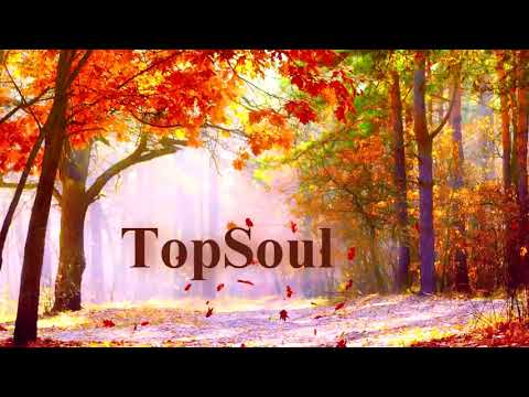 TopSoul intro