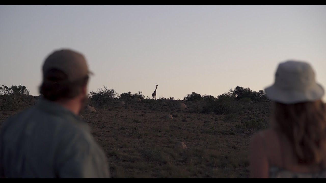 Experience Amakhala Safari Lodge