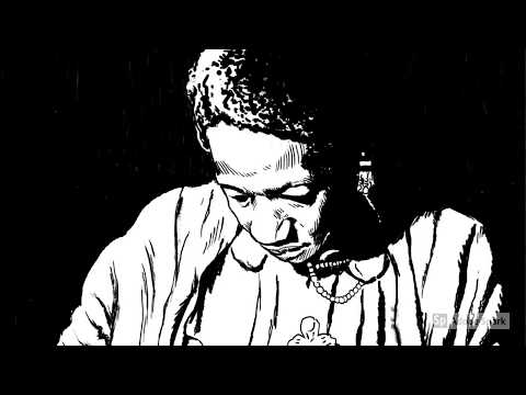 João Pinheiro - artista visual e quadrinista.