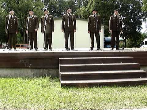 2.video.Ansamblis "Dobeles Zemessargi" Dzegužkalnā. 03.07.11