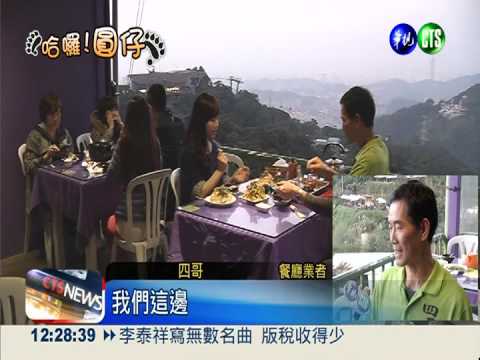 3貓1日遊 看完圓仔品茶吃美食