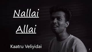 நல்லை அல்லை | Kaatru Veliyidai | Nallai Allai | Cover | REMI | Tamil Music Album Video Song | Love