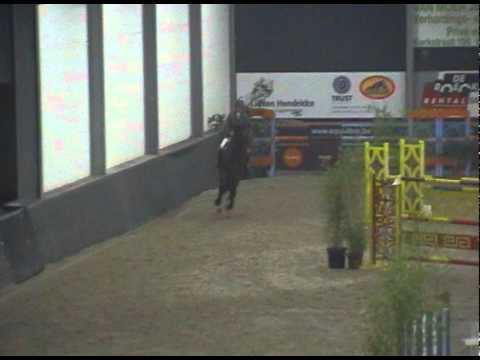 Jamar D'Ysenbeeck Z - Hulsterlo 05.11.2011.avi