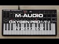 M-Audio Oxygen Pro Mini thumbnail 9