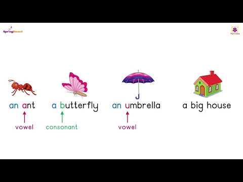 'a' / 'an' | Springboard SR KG Words & Sentences Part - 1 | Periwinkle