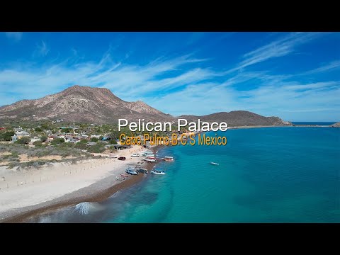 Pelican Palace