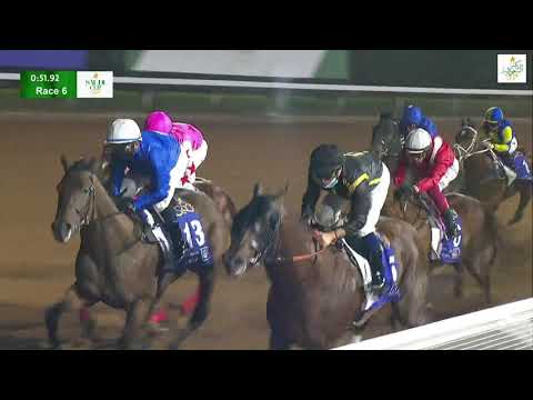 サウジダービー 21 2 土 日程 結果 Jra Van Ver World サウジダービー 21 2 土 日程 結果 Jra Van Ver World
