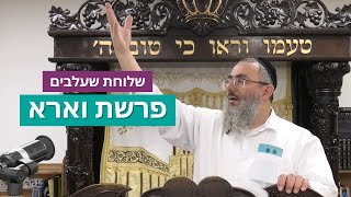 הרב דניאל אלול - פרשת וארא תשפ"ה (ישיבת שעלבים) - התמונה מוצגת ישירות מתוך אתר האינטרנט יוטיוב. זכויות היוצרים בתמונה שייכות ליוצרה. קישור קרדיט למקור התוכן נמצא בתוך דף הסרטון הרב דניאל אלול - פרשת וארא תשפ"ה (ישיבת שעלבים) - התמונה מוצגת ישירות מתוך אתר האינטרנט יוטיוב. זכויות היוצרים בתמונה שייכות ליוצרה. קישור קרדיט למקור התוכן נמצא בתוך דף הסרטון