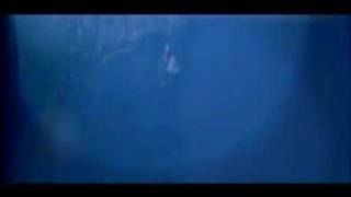 Bebel Gilberto-All Around