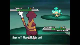 [Hell Quest #8] Live Shiny Panpour after 137 Random Encounters on Pokemon White
