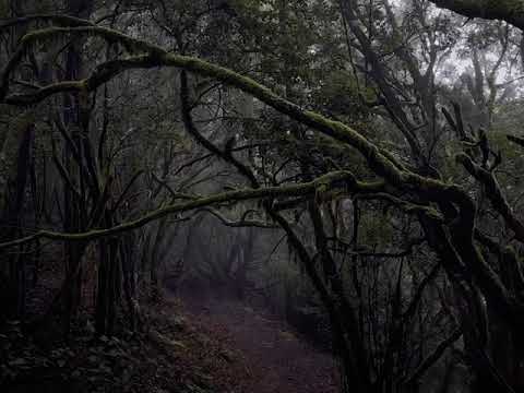 Martyn Heyne - Yugen - video tag