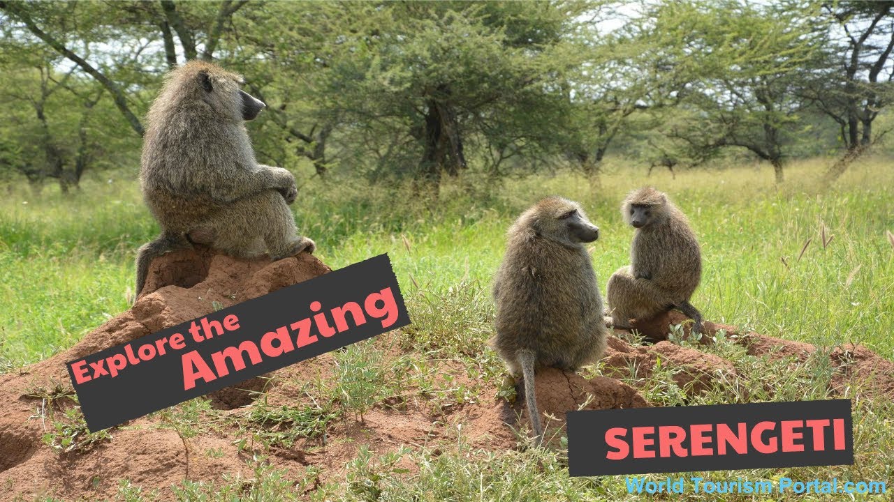 Serengeti National Park