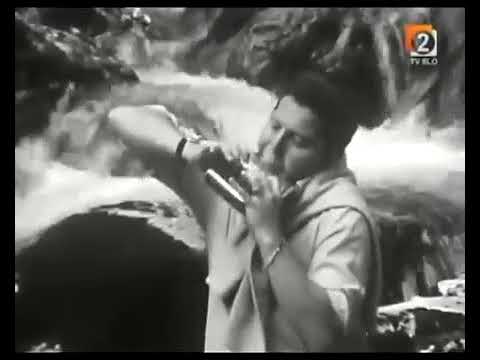 Andrej Blumauer - Razposajena harmonika (polka)