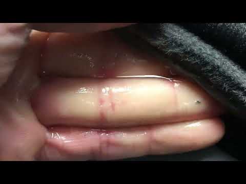 VW Bus T6.1 Umbau misslungen