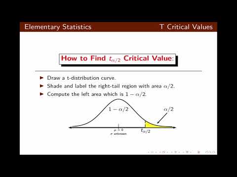T Critical Value