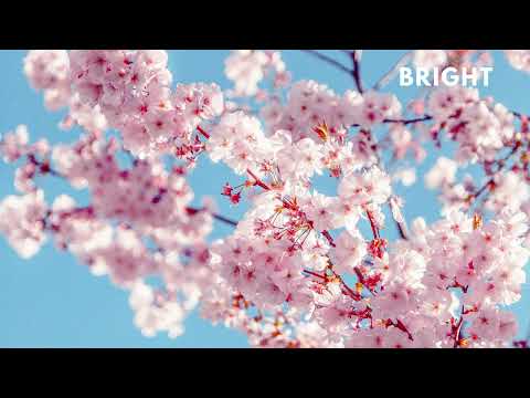BRIGHT - Macklemore x Chance The Rapper x Kyle Type Beat  | Happy Rap Instrumental