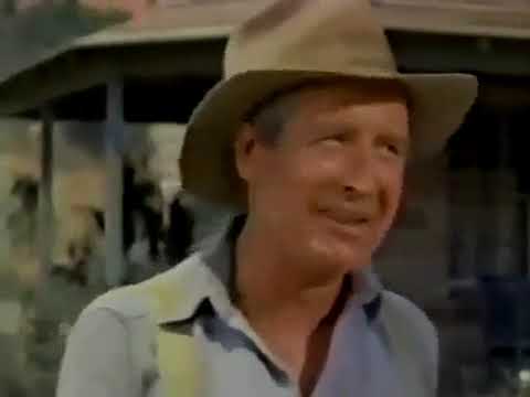 Hound-Dog Man (1959)