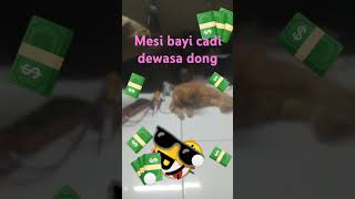 Download lagu 16 Mei 2024 mp3